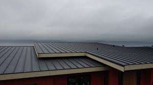 Best Rubber Roofing (EPDM, TPO)  in Derma, MS